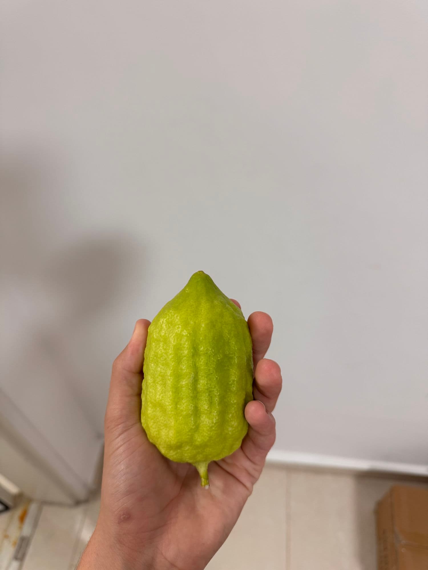 אתרוג
